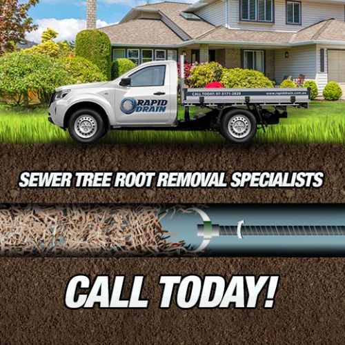 Sewer Tree Root Removal Specialists In Buranda